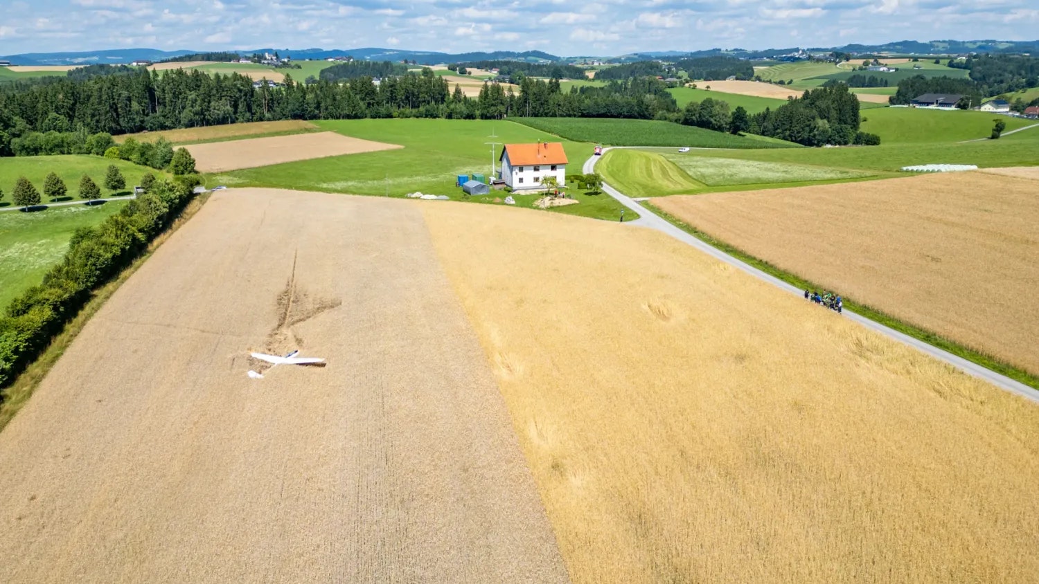 Der fast erntereife Weizen blieb weitgehend unversehrt.