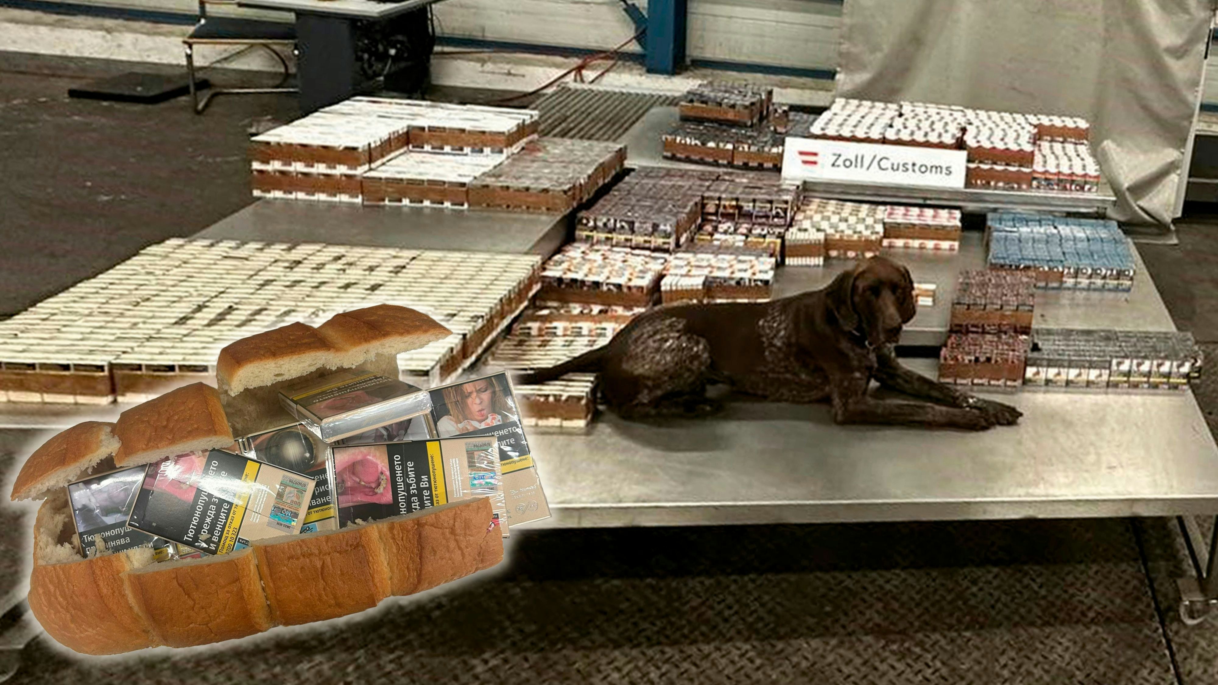 Heute.at - Zollhund erschnüffelt in Brot verbackte Zigaretten