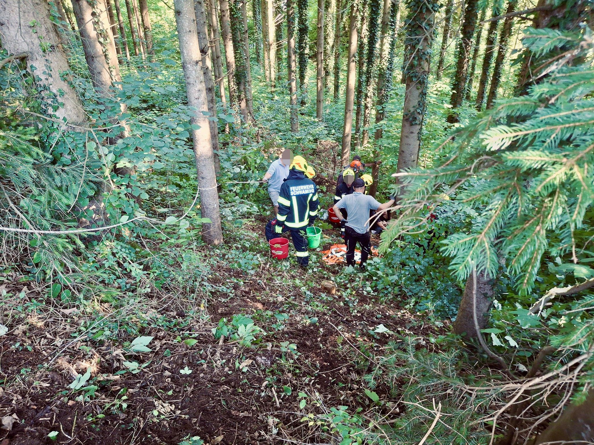 Das Pferd musste von der Feuerwehr aus sehr steilem Gelände geborgen werden.