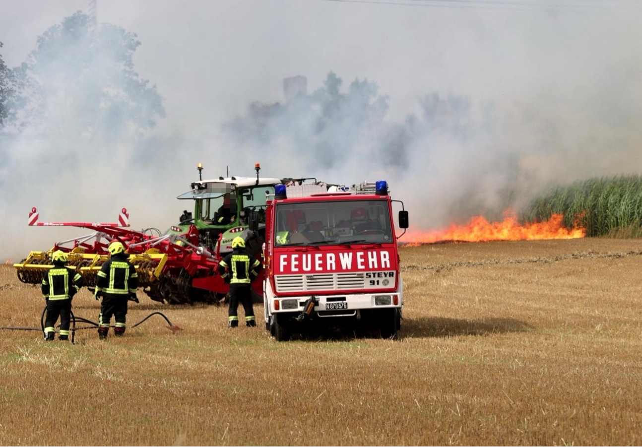 Feldbrand bei Pischelsdorf: Sieben Feuerwehren stehen im Einsatz