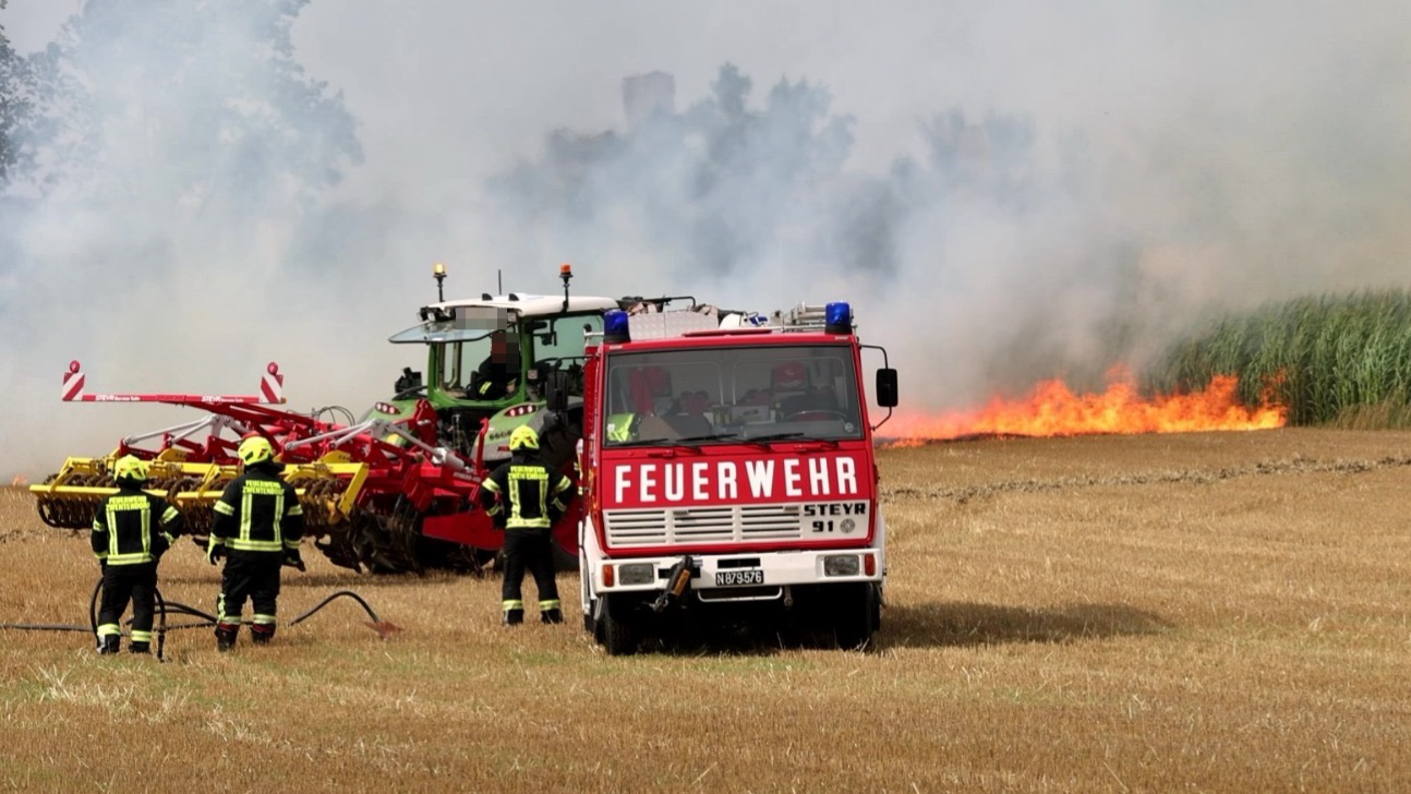 Feldbrand bei Pischelsdorf: Sieben Feuerwehren stehen im Einsatz