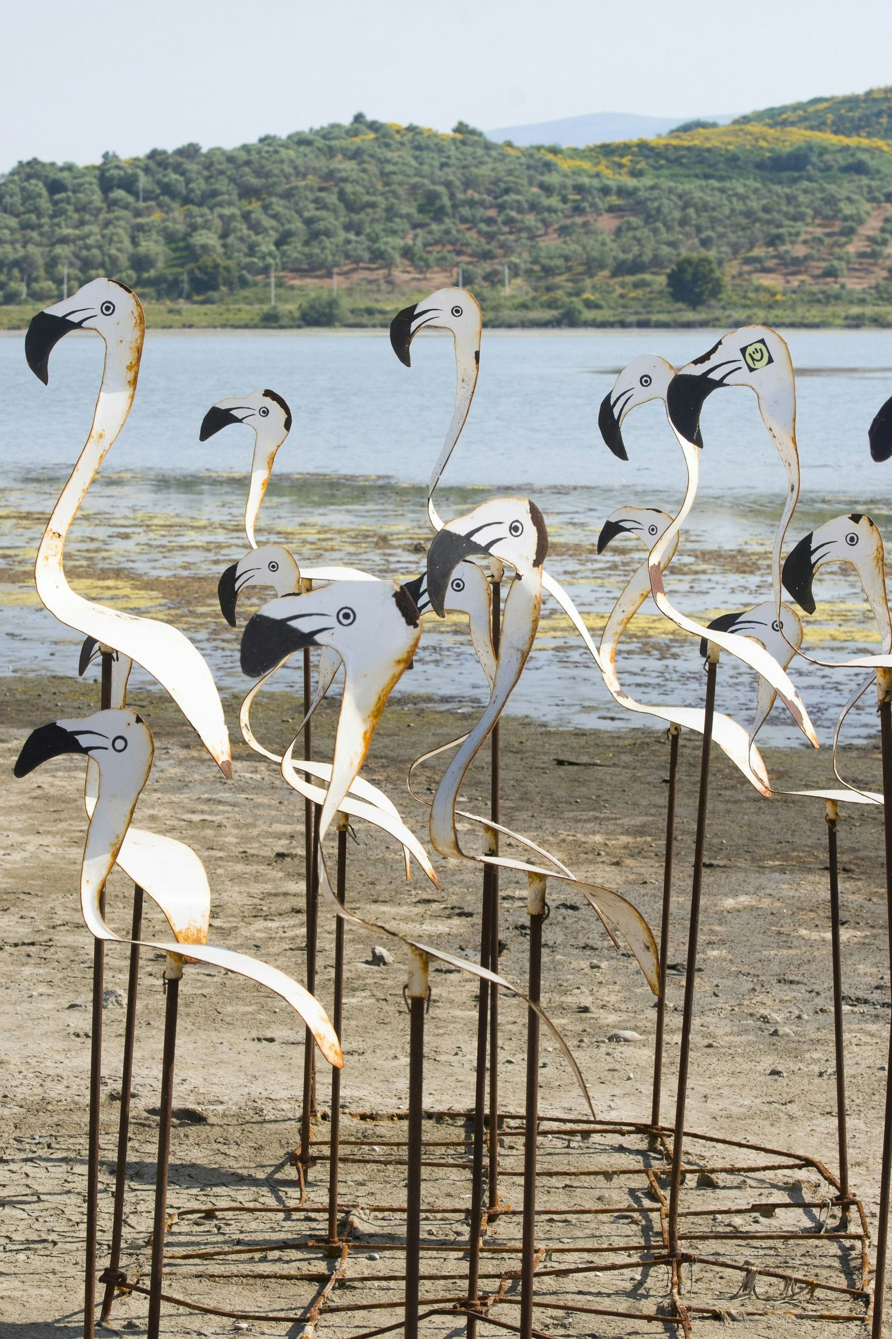 Geht es nach Jared Kushner, dem Schwiegersohn von Donald Trump, müssen die (echten) Flamingos von Zvernec einem milliardenschweren Luxusresort weichen