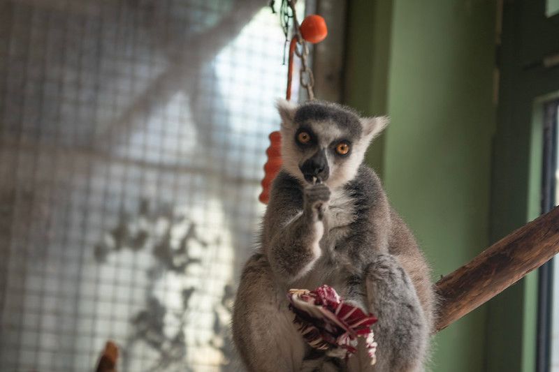 Aufgrund einer neurologischen Auffälligkeit wurde 