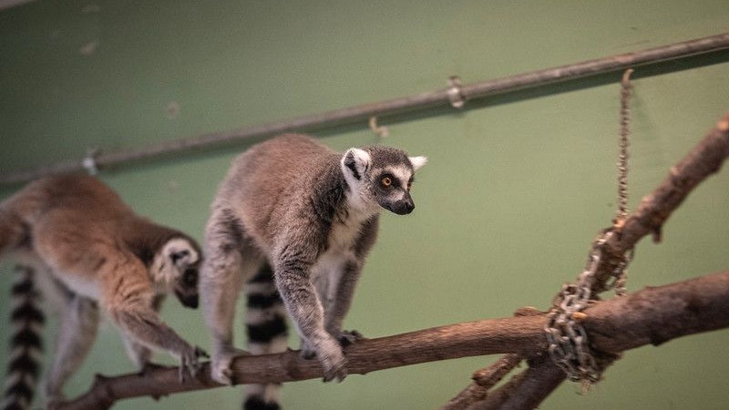 Die zwei "ausgestoßenen" haben sich sofort ins Herz geschlossen.