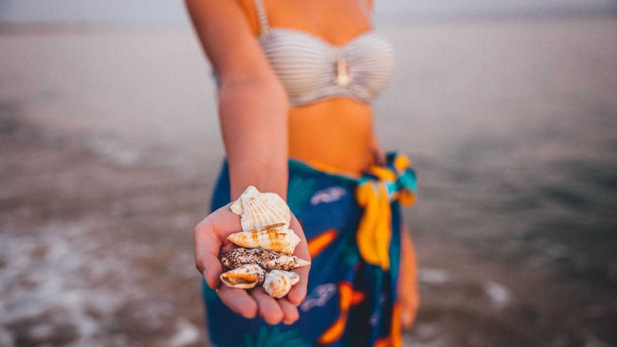 Female hand full of shells from the beach