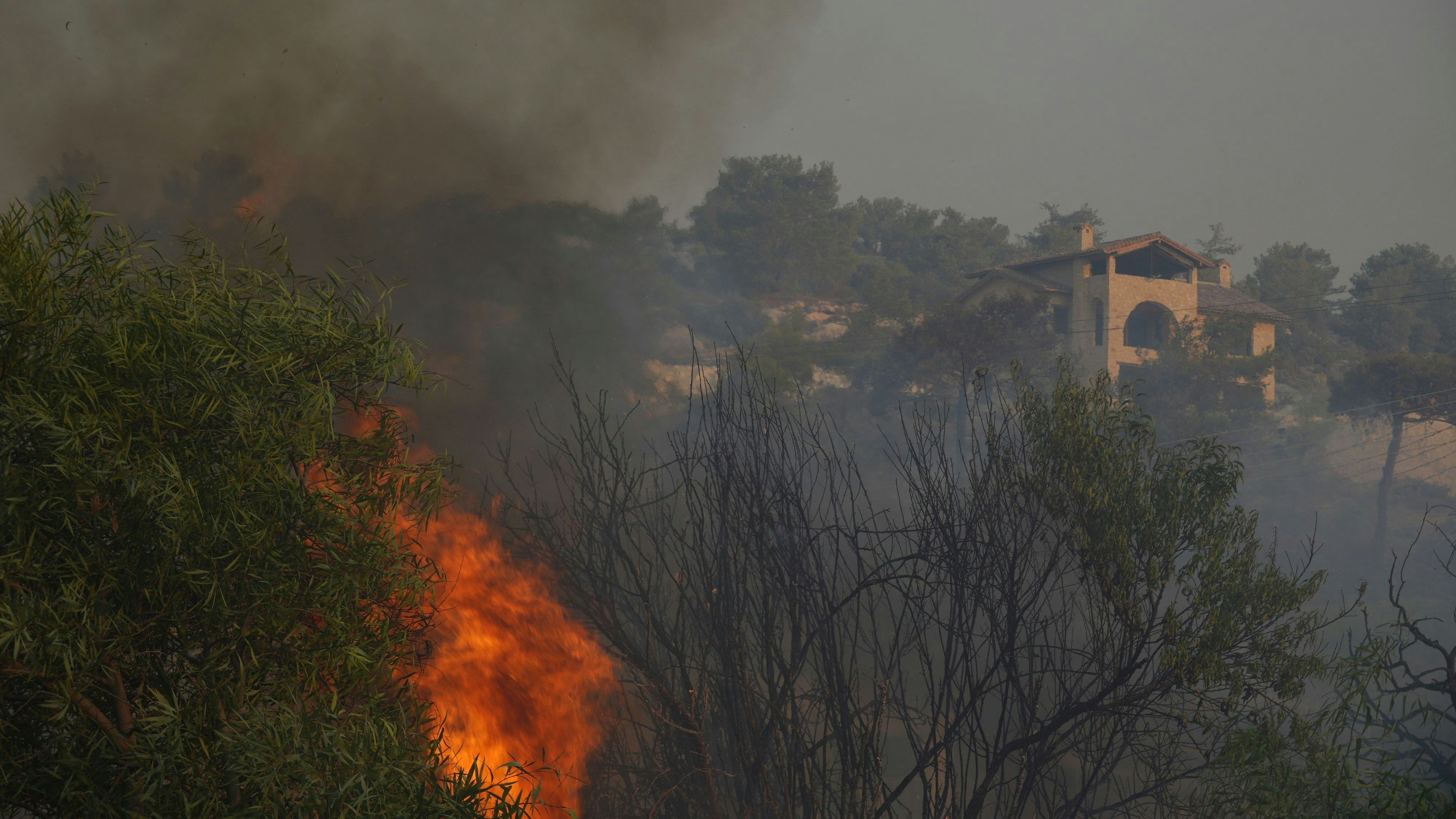 Heute.at - Feuerinferno auf Zypern – Evakuierungen und zwei Tote