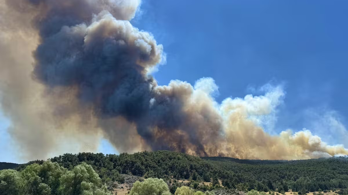 Heute.at - Temperaturen über 40 Grad: Tote in Italien und Türkei