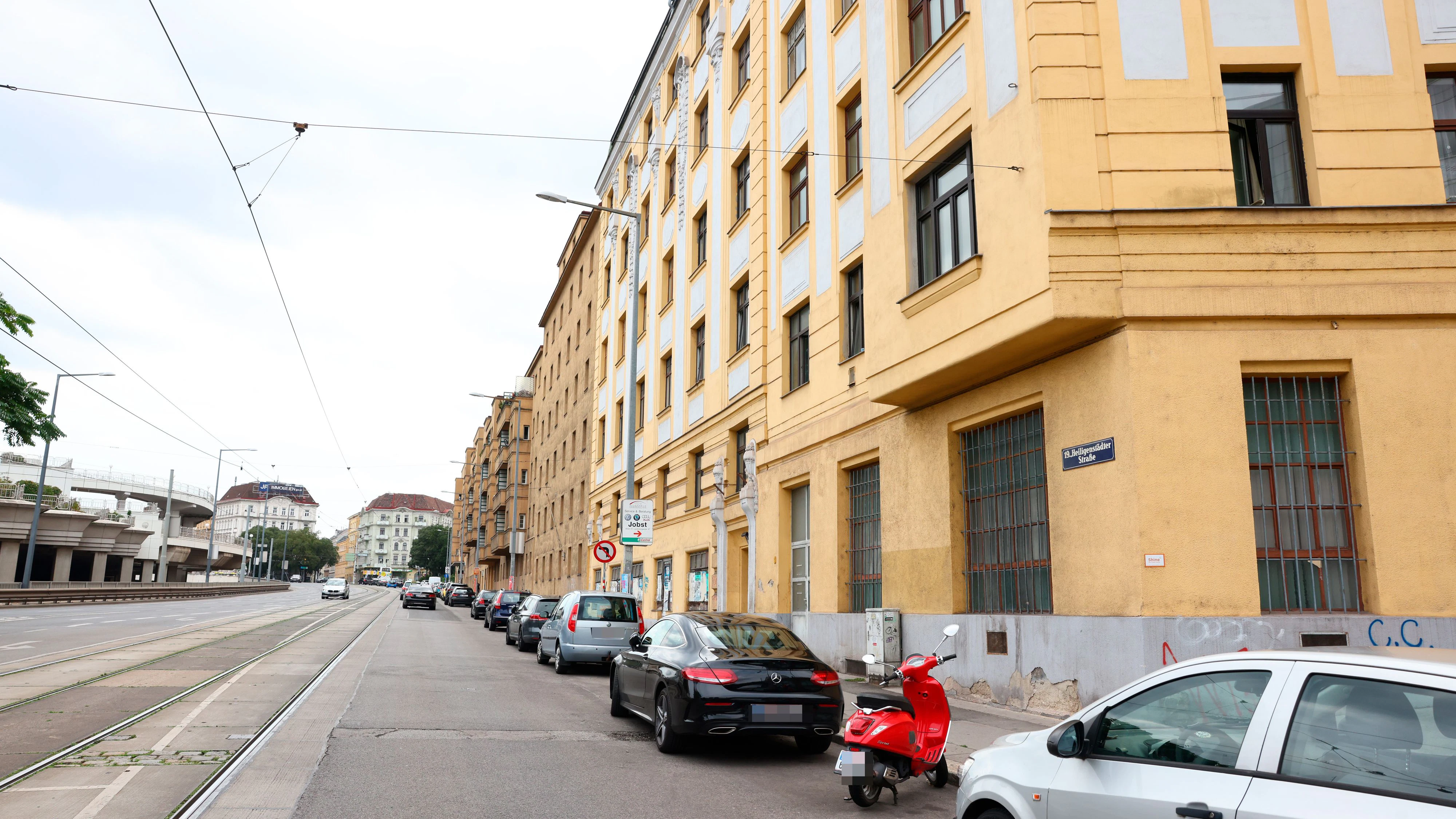 Heute.at - Hund läuft auf Straße – Autofahrer wird festgenommen!