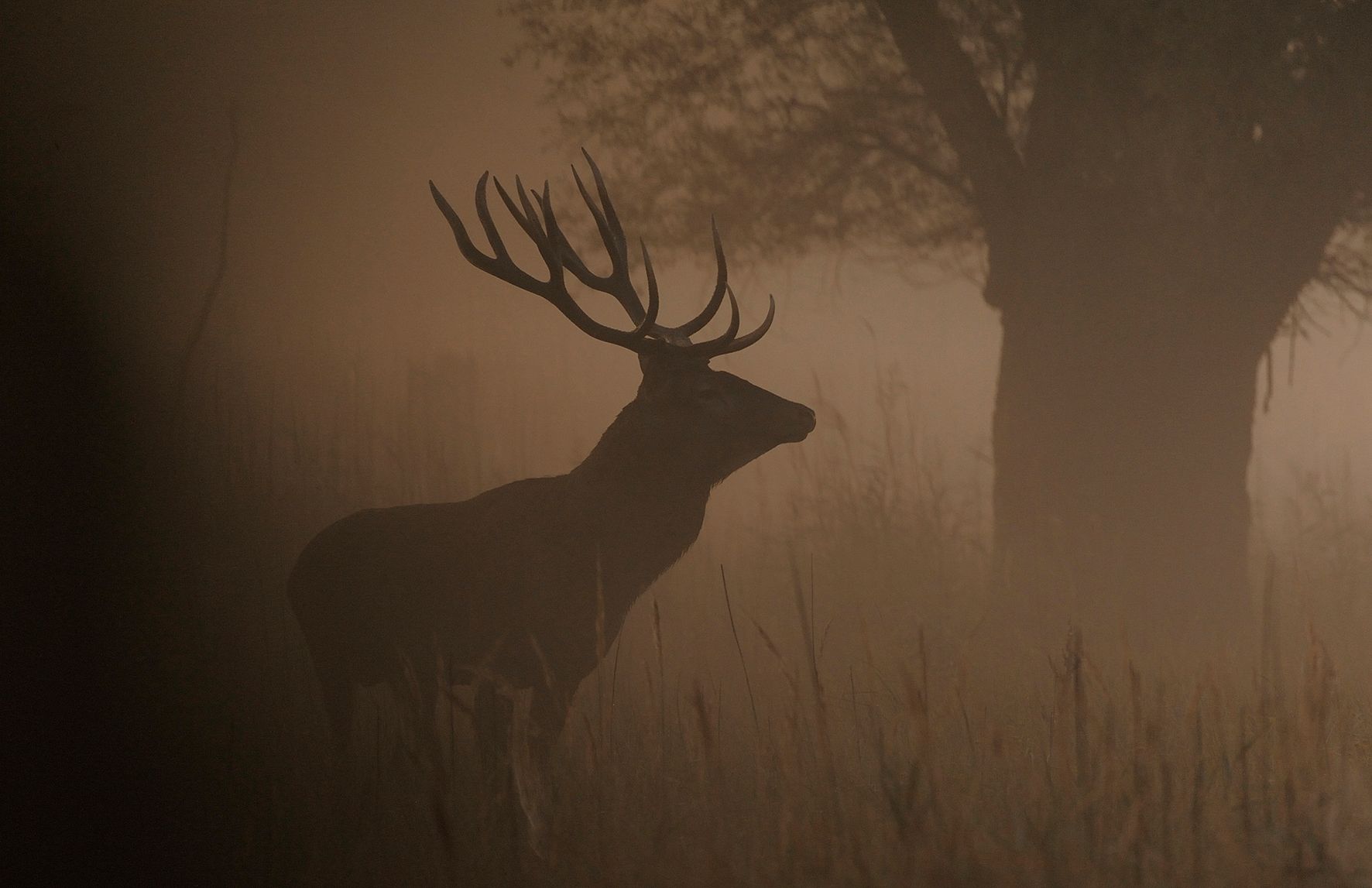 Der Nationalpark Donau-Auen ist unbedingt einen Besuch wert.