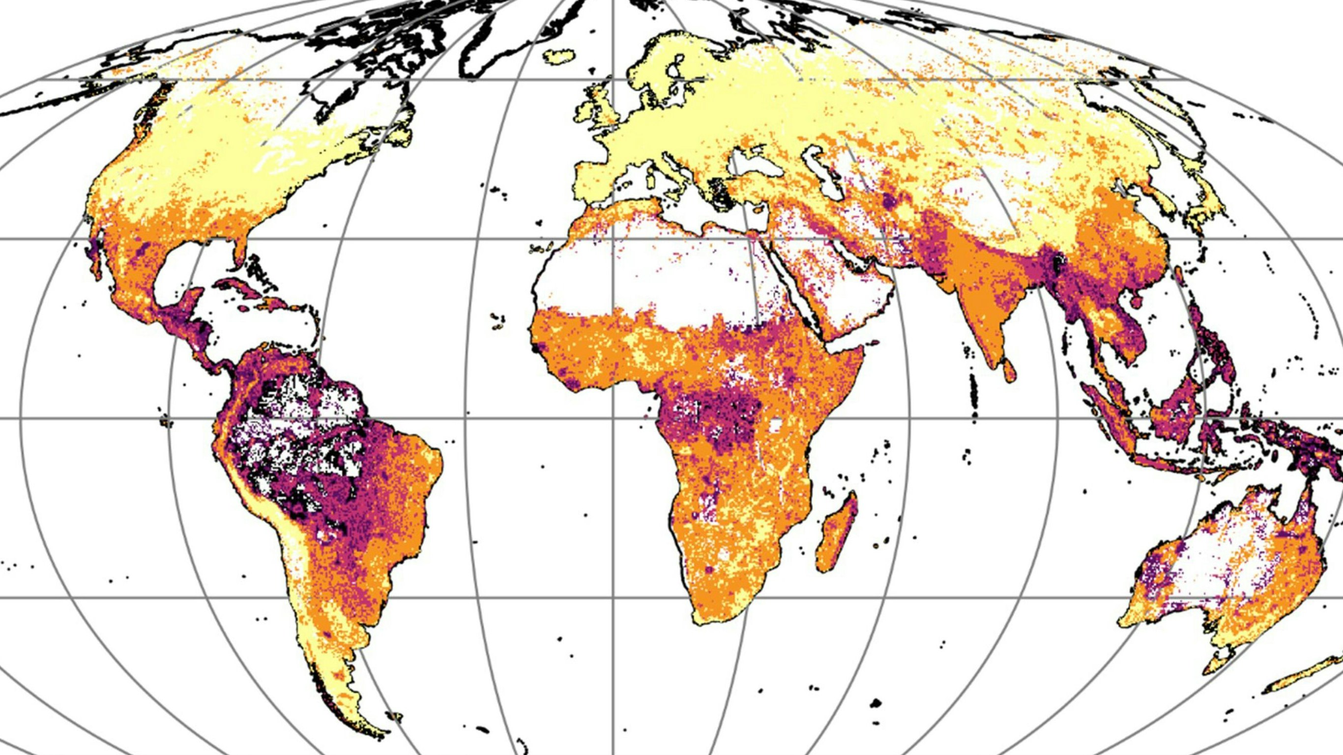 Heute.at - Weltkarte der Seuchen – wo du besser nicht hinfliegst
