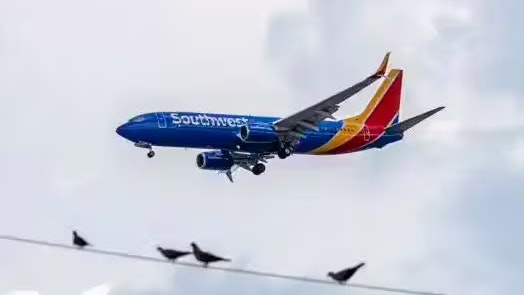 Heute.at - Das Flugzeug befand sich im freien Fall