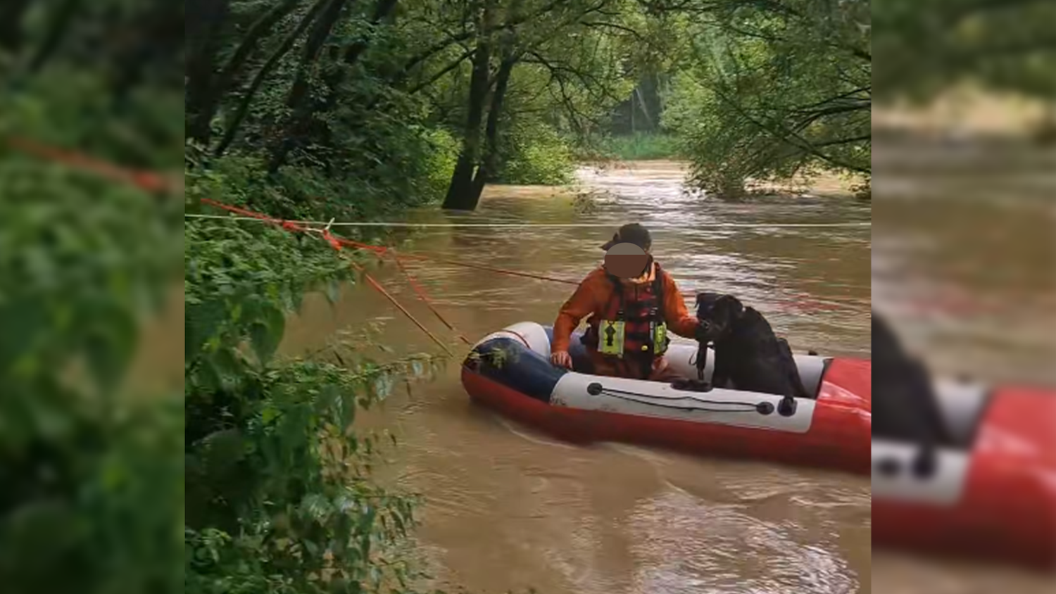 Die Feuerwehr bargen den verschreckten Hund im Linzer Süden.
