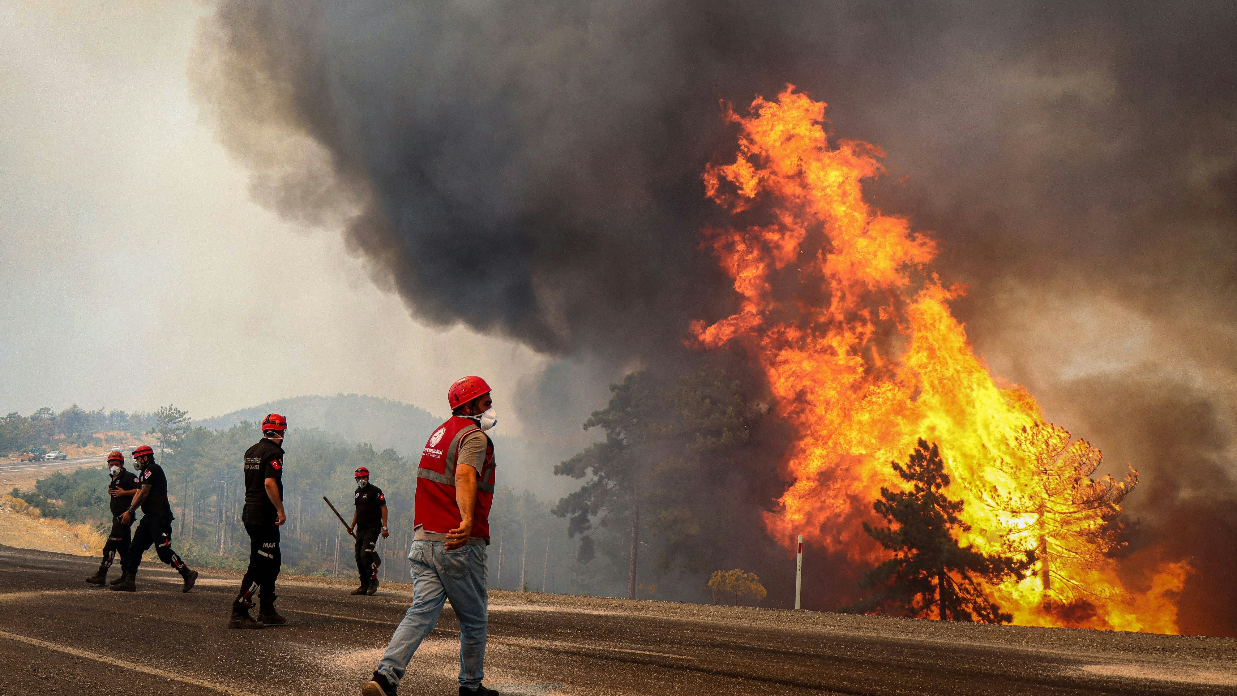 Heute.at - Europas Süden brennt: Hier toben schwere Waldbrände