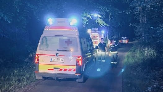 Heute.at - Unglück in abgelegenem Waldstück forderte Menschenleben
