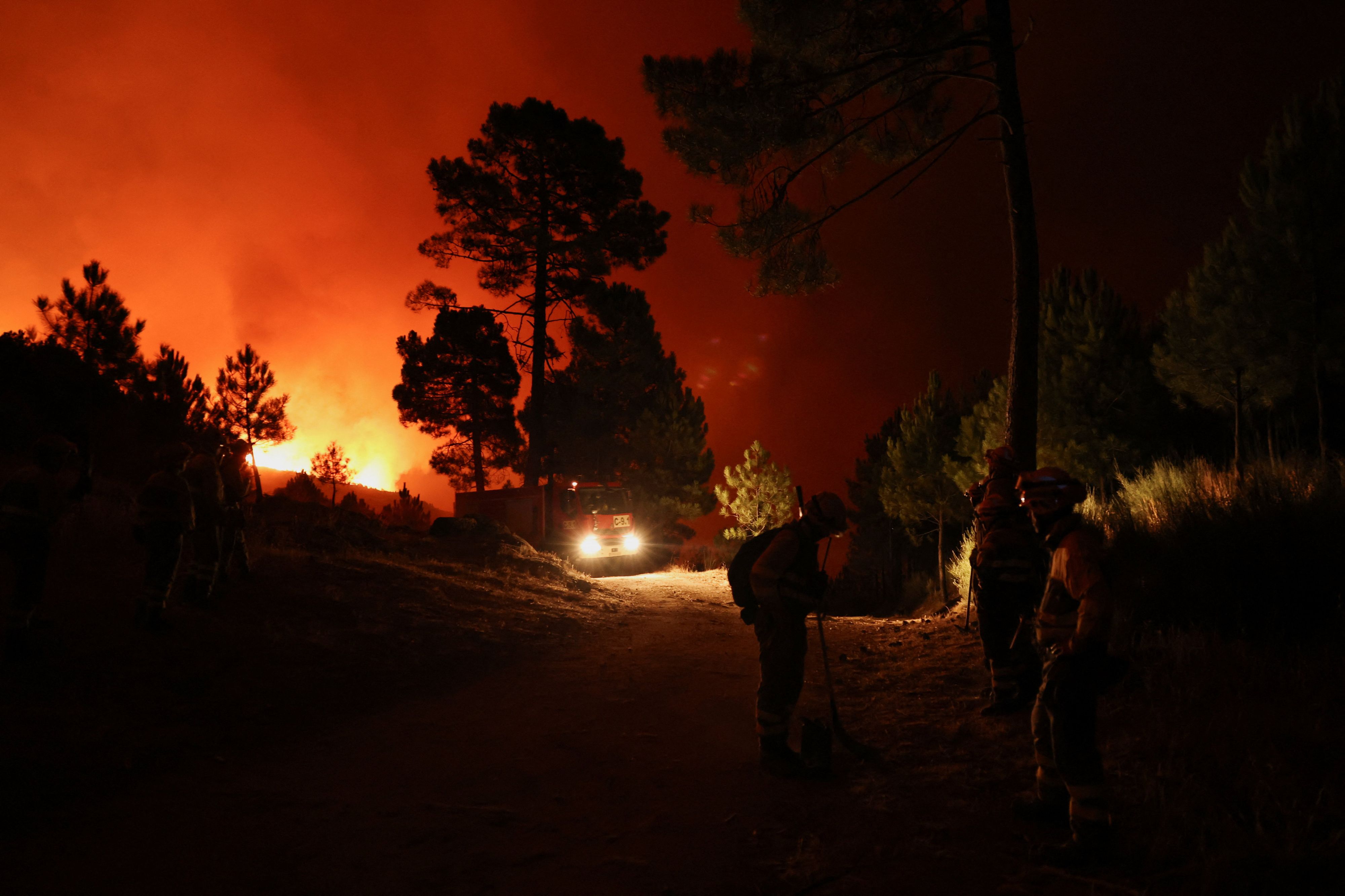 In der spanischen Provinz Avila wütet ein verheerender Waldbrand.