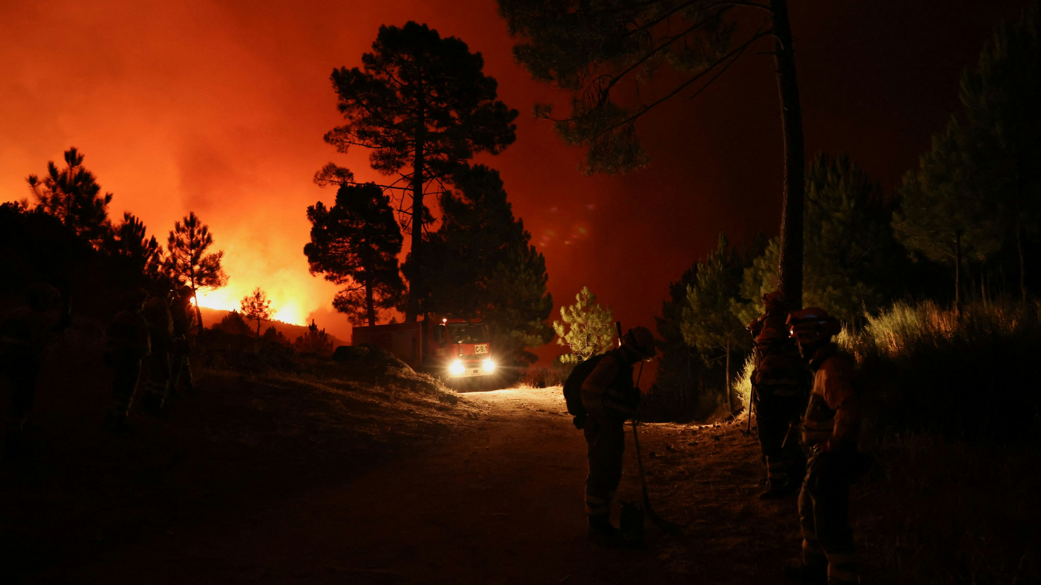 Heute.at - 3.000 Hektar betroffen – Schwerer Waldbrand nahe Madrid