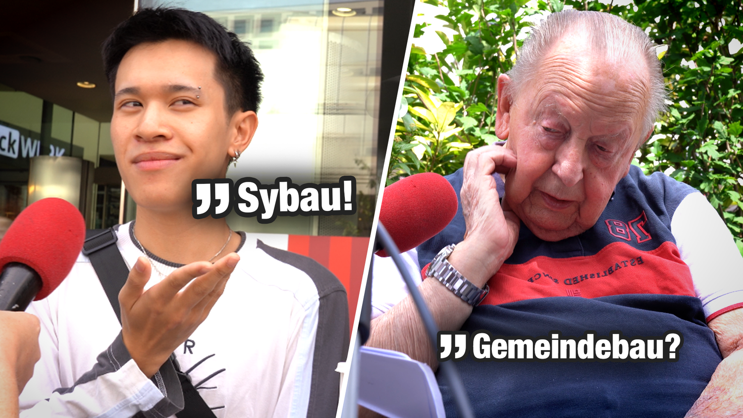 Welche Sprache ist das? – Walter (86) versteht bei unserem kleinen Quiz nur Bahnhof