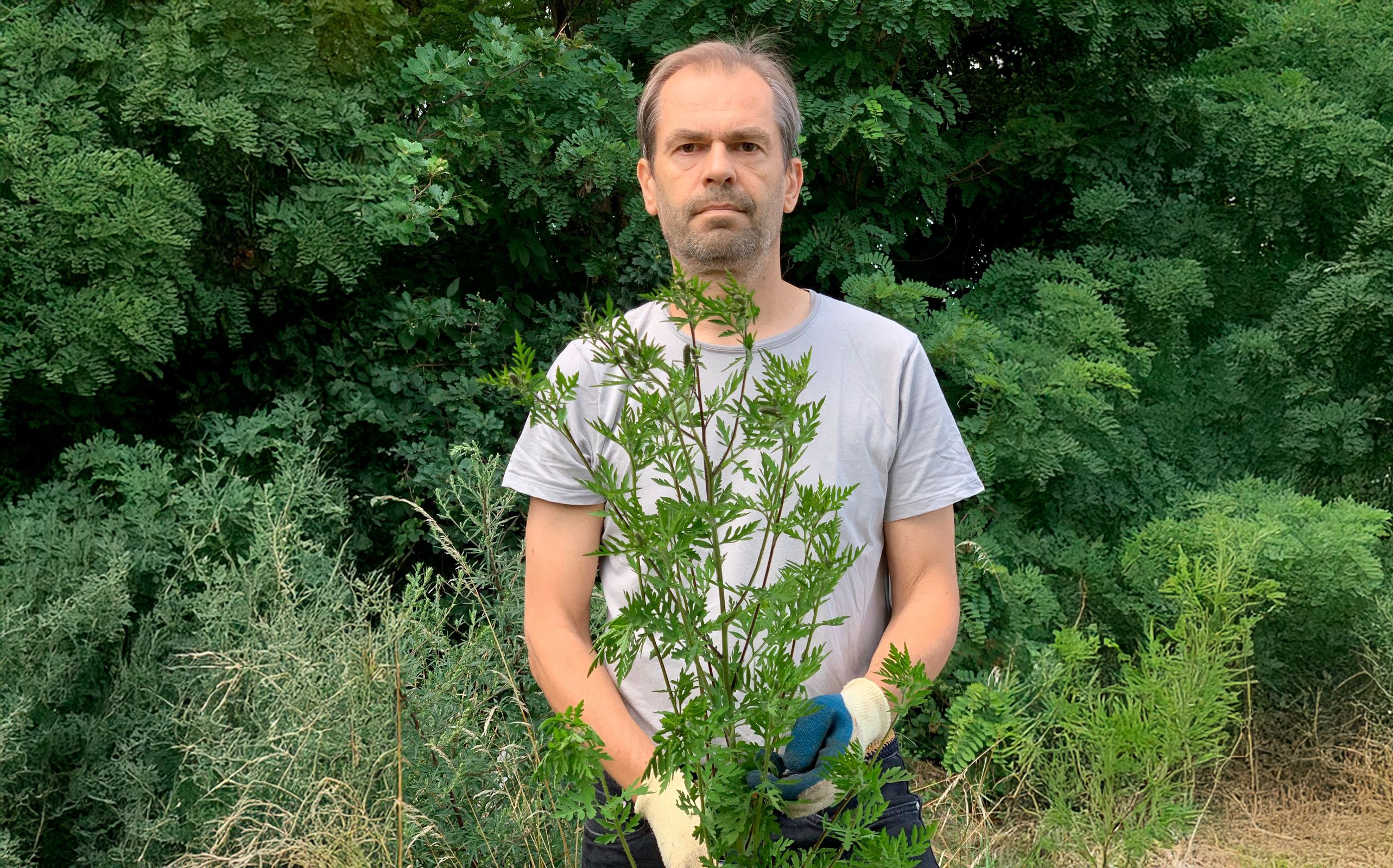 Grünen-Klubobmann Wolfgang Spitzmüller legte selbst Hand an.