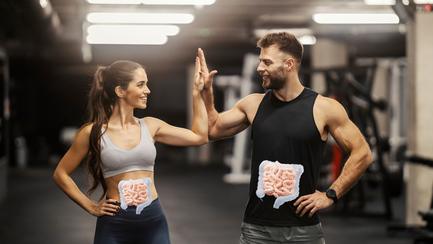 Heute.at - Warum der Darm für deine Fitness so wichtig ist