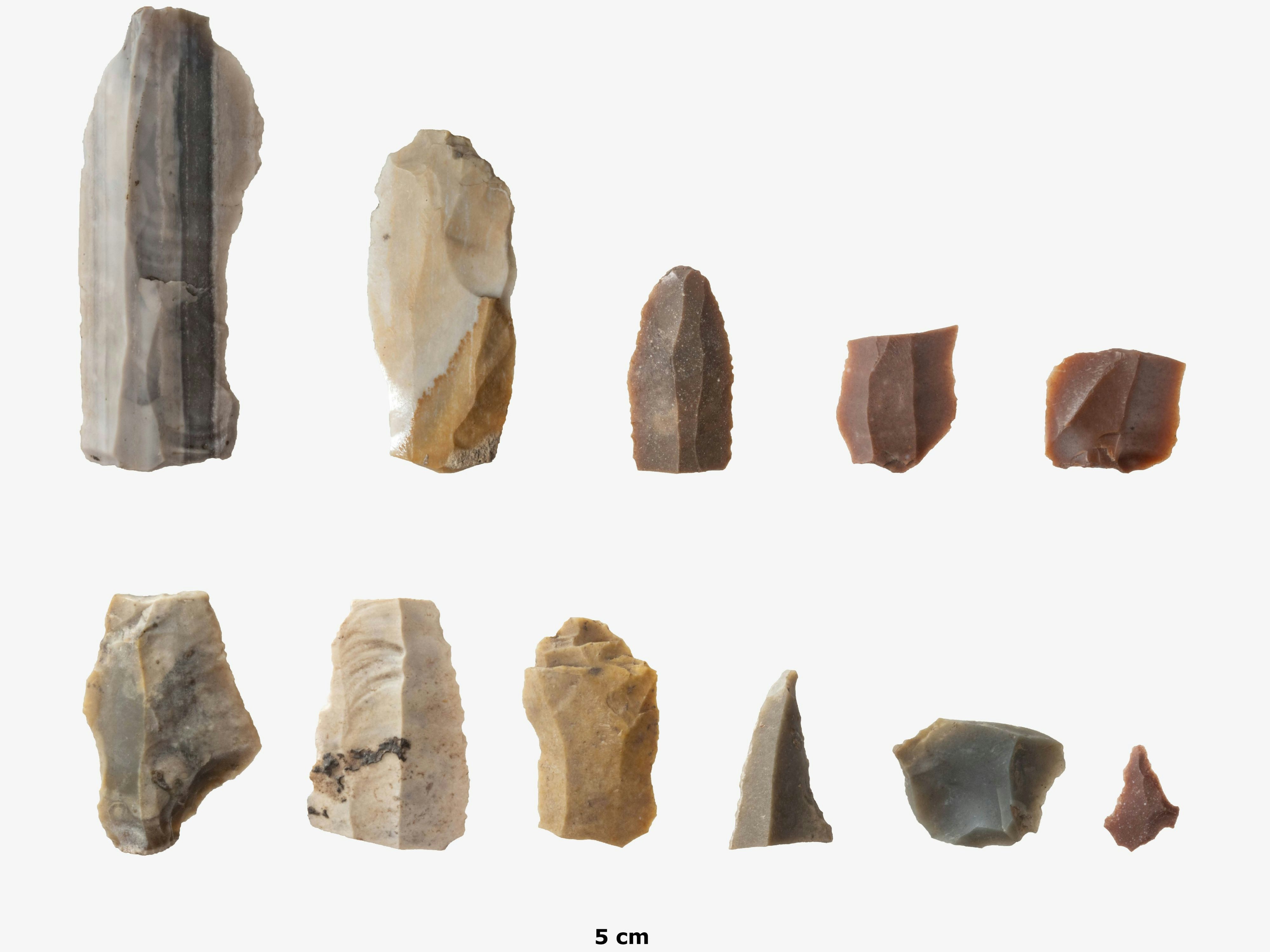 Schneidgeräte aus verschiedenen Feuersteinen, frühe Jungsteinzeit, 6. Jahrtausend vor Christus