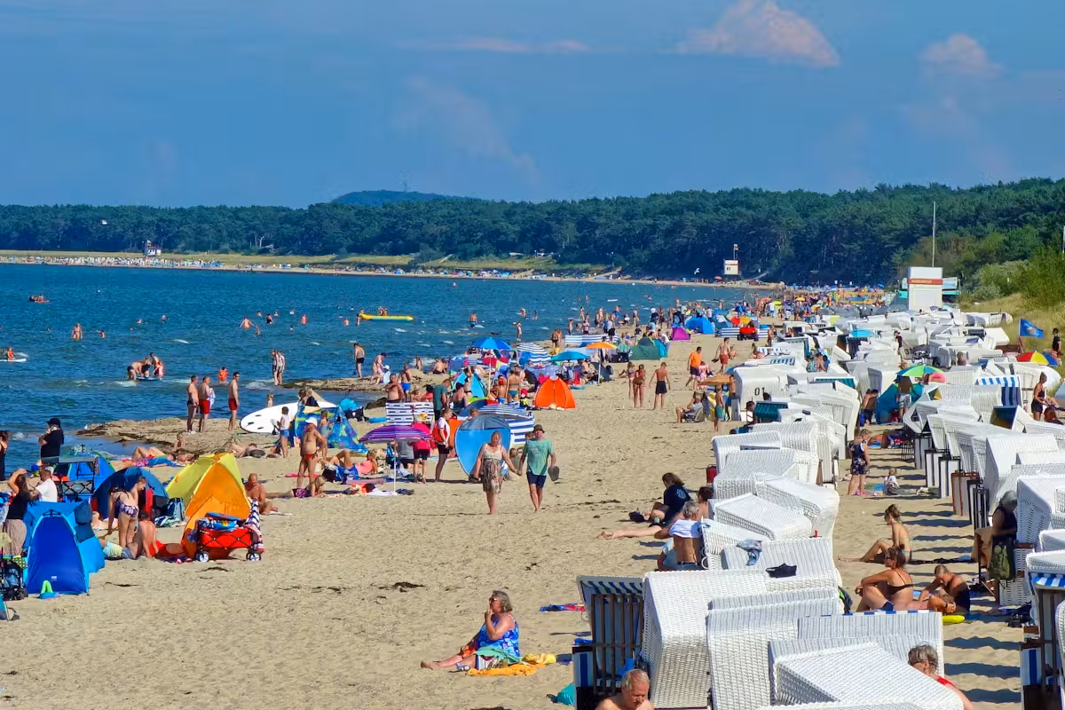 Ein 68-jähriger Mann aus Mecklenburg-Vorpommern ist nach einer Infektion mit Vibrionen aus der Ostsee gestorben; er litt an mehreren Vorerkrankungen.