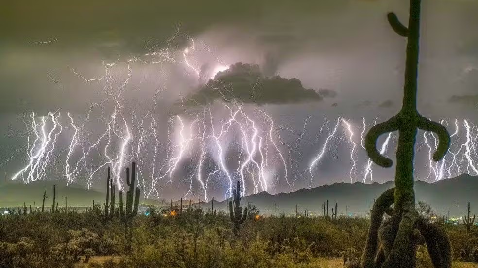 Heute.at - Dieser Blitz war 829 Kilometer lang – neuer Weltrekord