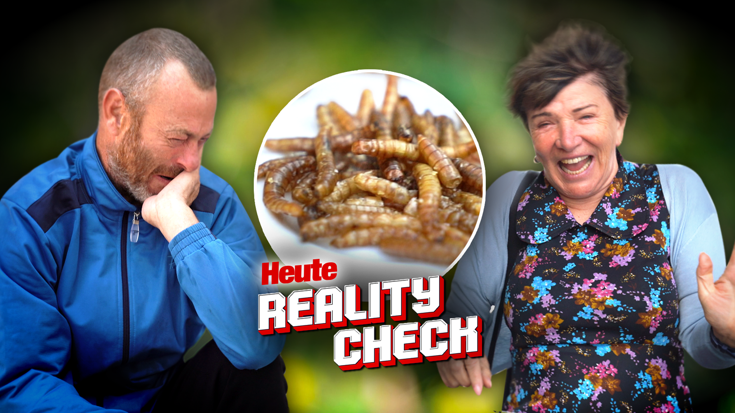 Das finde ich ekelhaft – Viele reagieren angewidert auf die Insekten