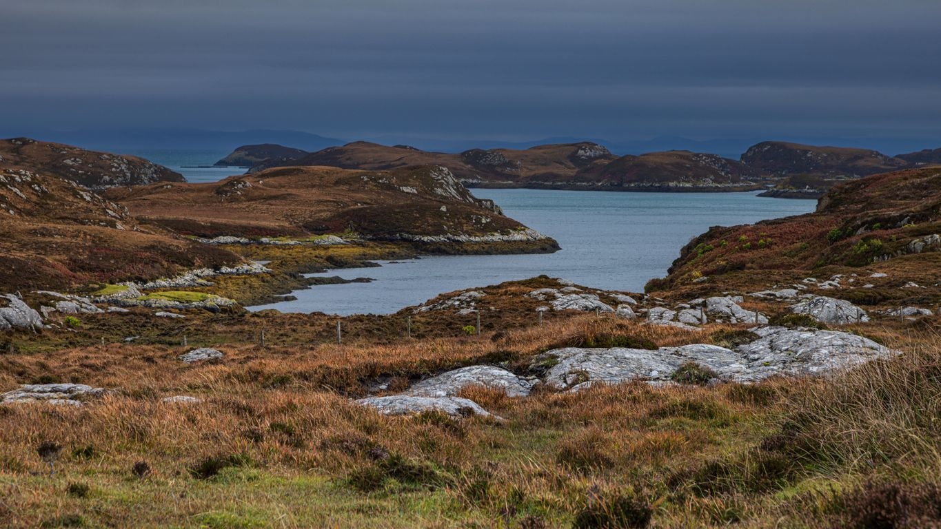 Heute.at - Sensation: Tourist entdeckt ausgestorbenes Tier