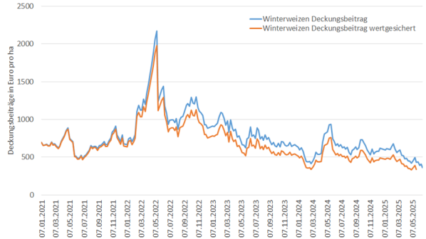 Die Situation im Weizenanbau ist extrem angespannt.