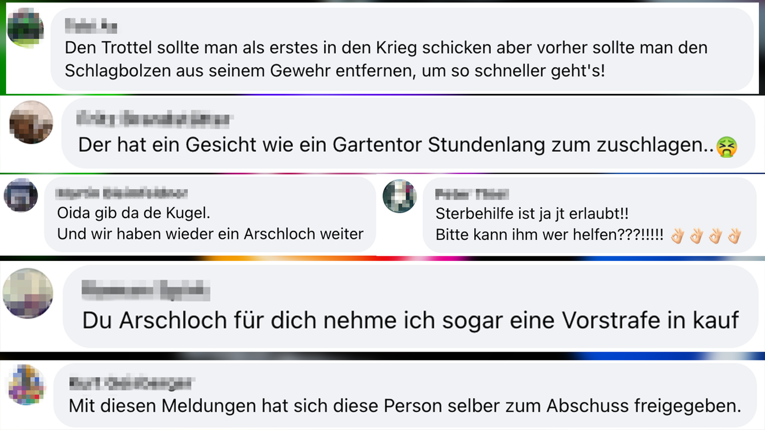 Diese Nachrichten finden sich etwa in den Kommentaren unter FPÖ-Beiträgen.