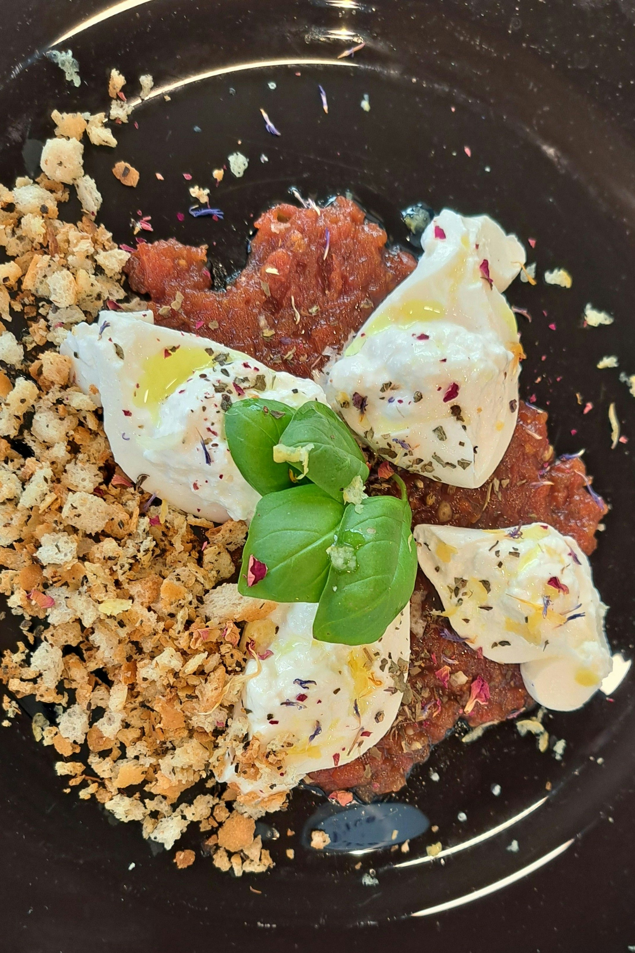 Burrata auf Paradeiser-Chutney, Zitronenöl mit Basilikum-Croutons