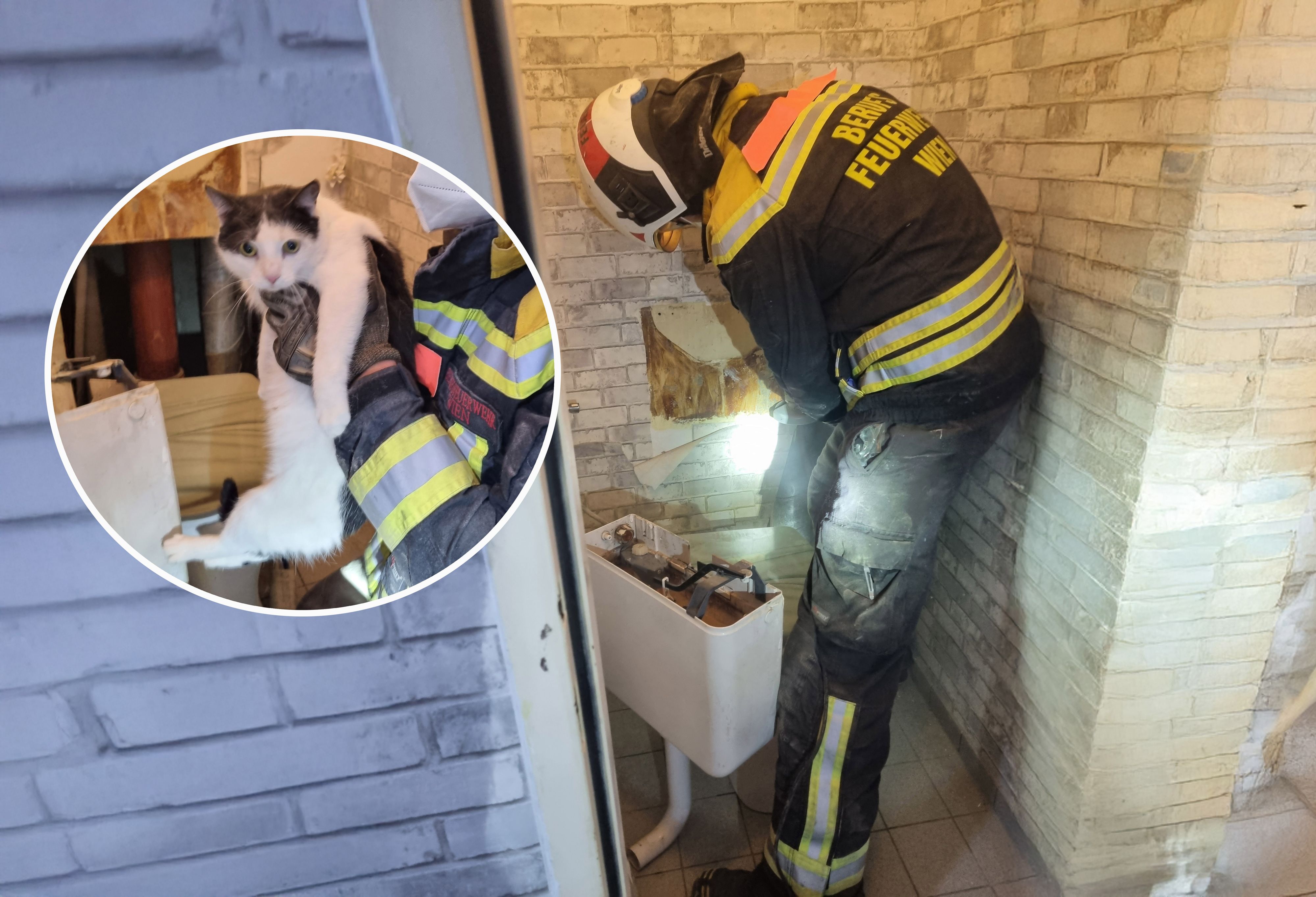 Die völlig verängstigte 