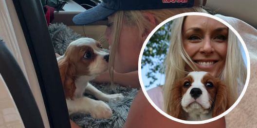 Lindsey Vonn mit Hündchen 