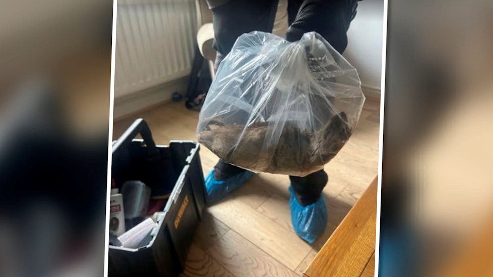 Die Stadträte von Eston Ward teilen auf Facebook das Bild der 56 Centimeter langen Ratte (im PLastiksack). 