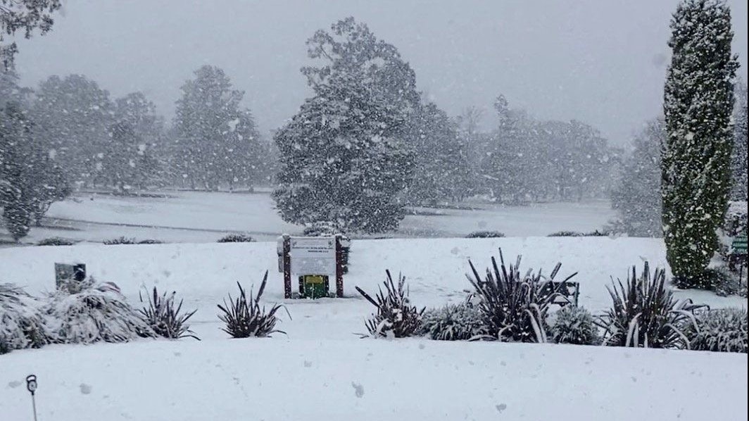 Heute.at - Australien im Schneesturm: 1.500 Unfälle, Frau vermisst