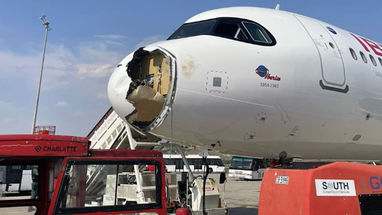 Das Flugzeug nach der Kollision mit dem Vogel.