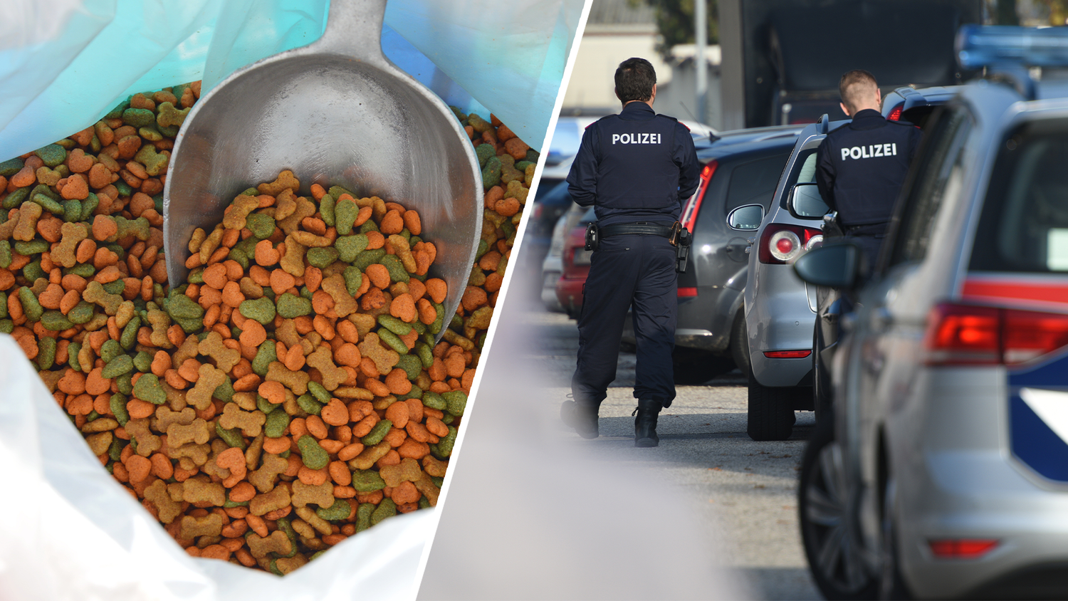 Heute.at - Hundefutter könnte Pärchen jetzt in Haft bringen