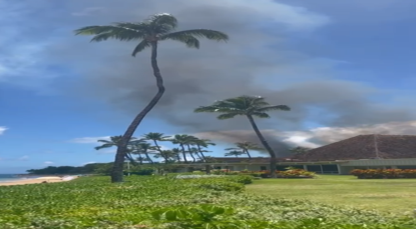 Heute.at - Tsunami-Alarm, Feuer: Sind froh, bald abzureisen