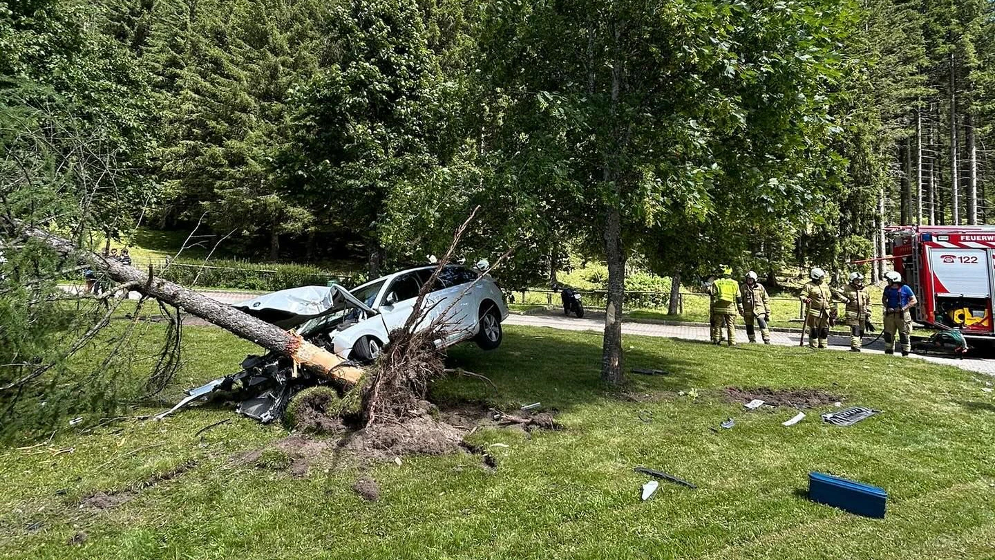Der alkoholisierte Lenker krachte gegen einen Baum. 