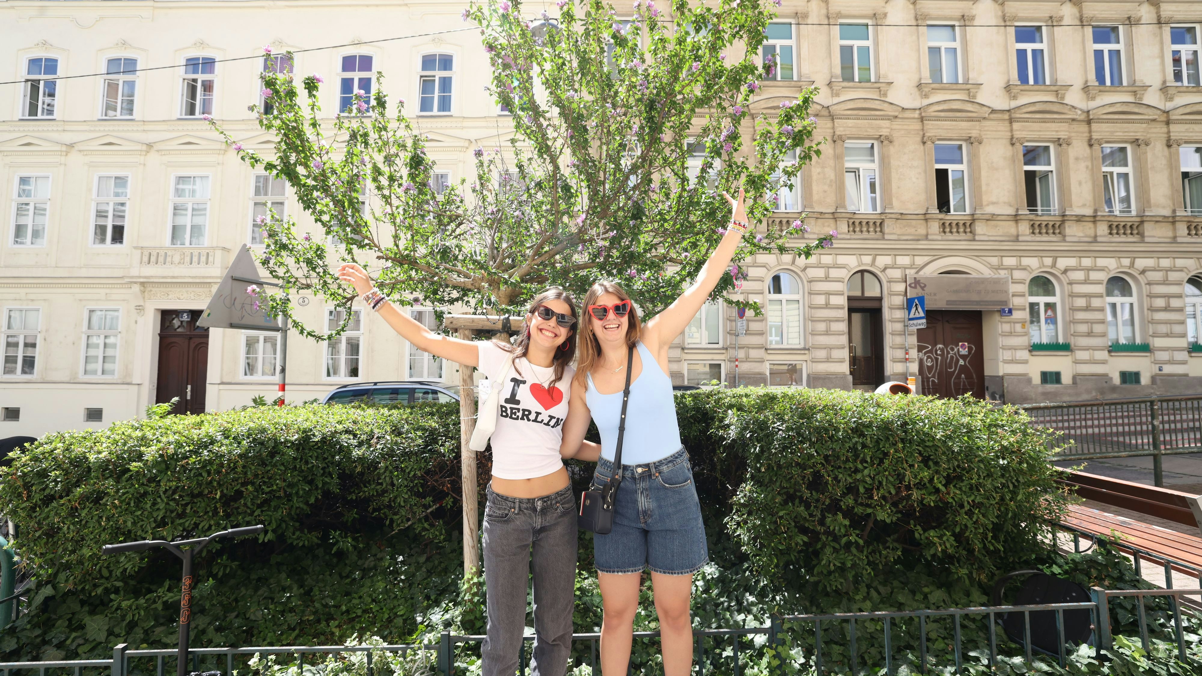 Swift-Fans vor dem "Freundschafts-Baum" in der Corneliusgasse (2024).