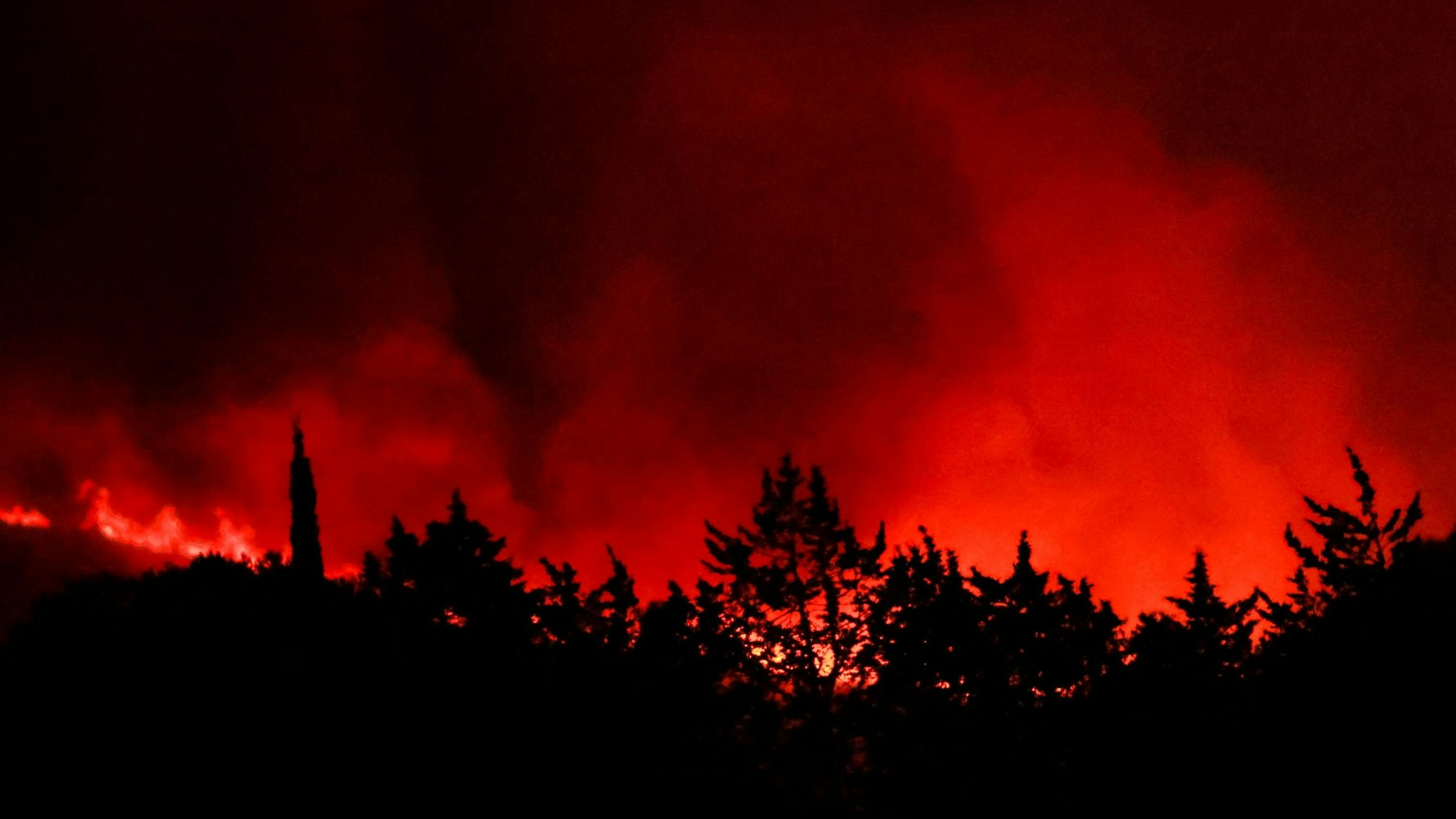 Heute.at - Waldbrände in Europa – Schlimmstes Jahr seit Messbeginn