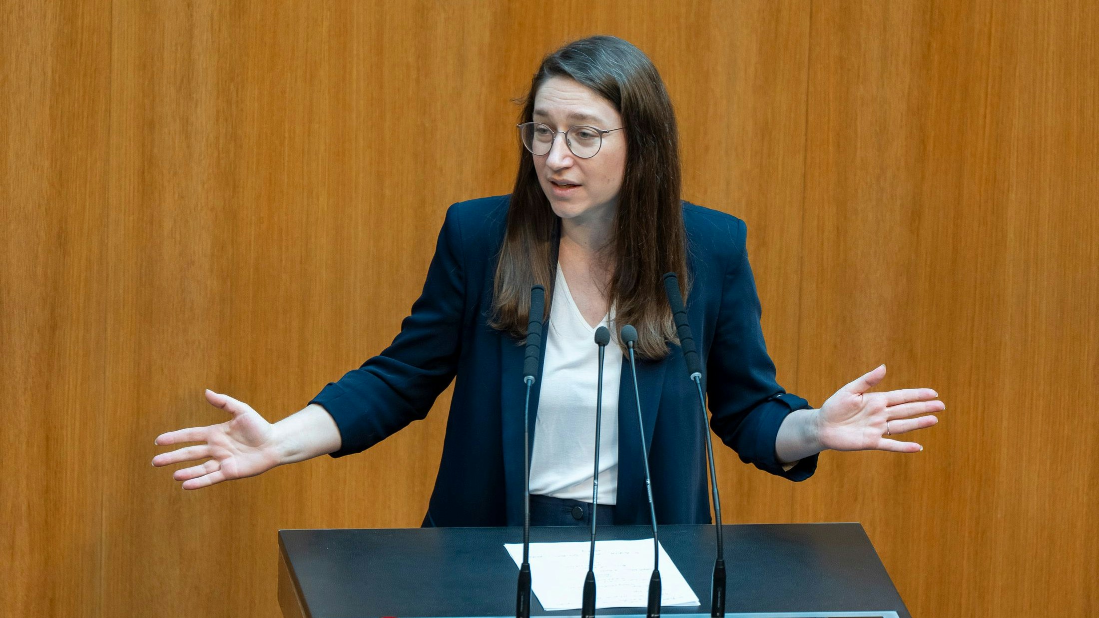 "Die Verschärfungen sollen möglichst für alle neu angeschafften Waffen der vergangenen Monate gelten", so SPÖ-Klubvize Julia Herr.