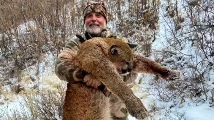 Heute.at - Schwarzer Tod – Büffel tötet US-Trophäenjäger