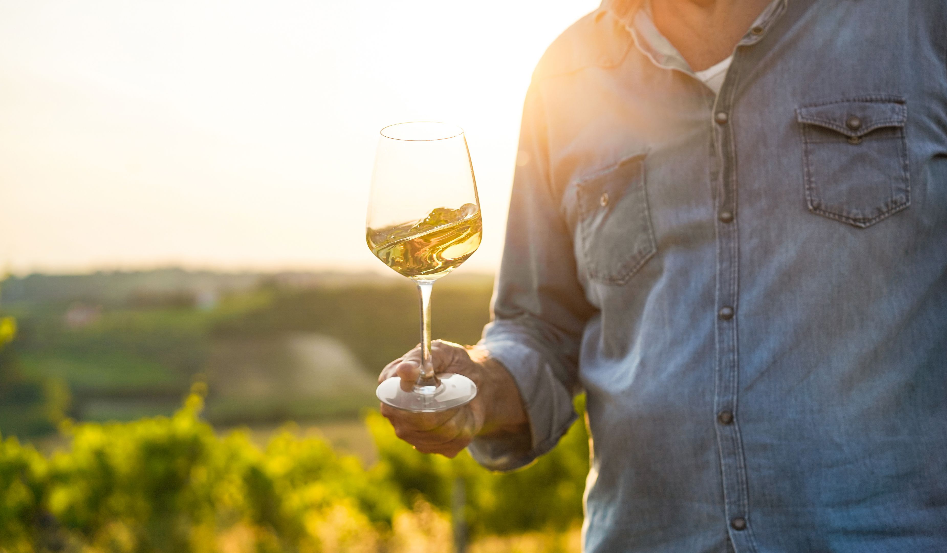 Ein prominenter Winzer sitzt wegen Mordverdachts in U-Haft.