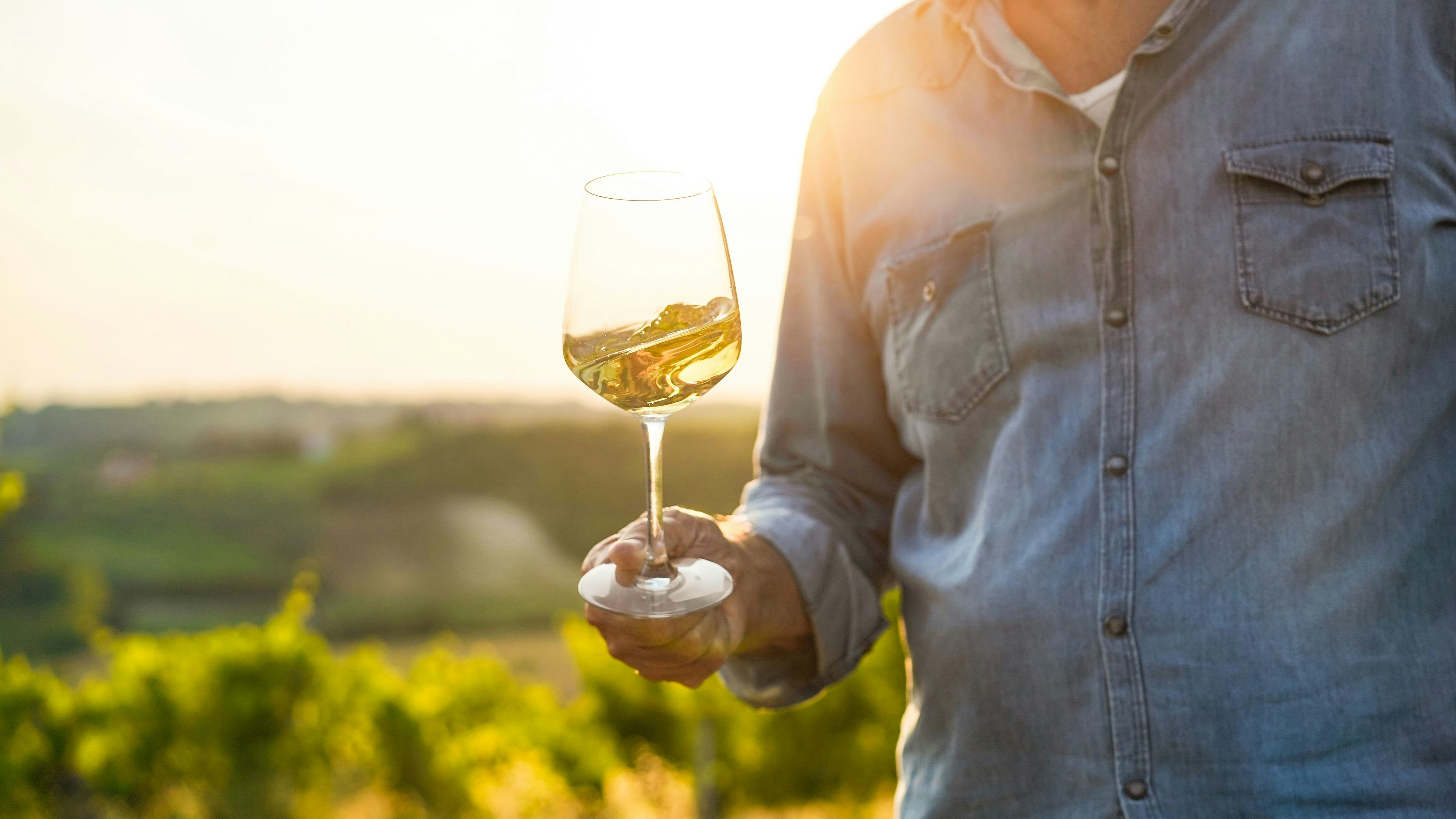 Steirischer Winzer (57) wegen Mordverdacht in U-Haft