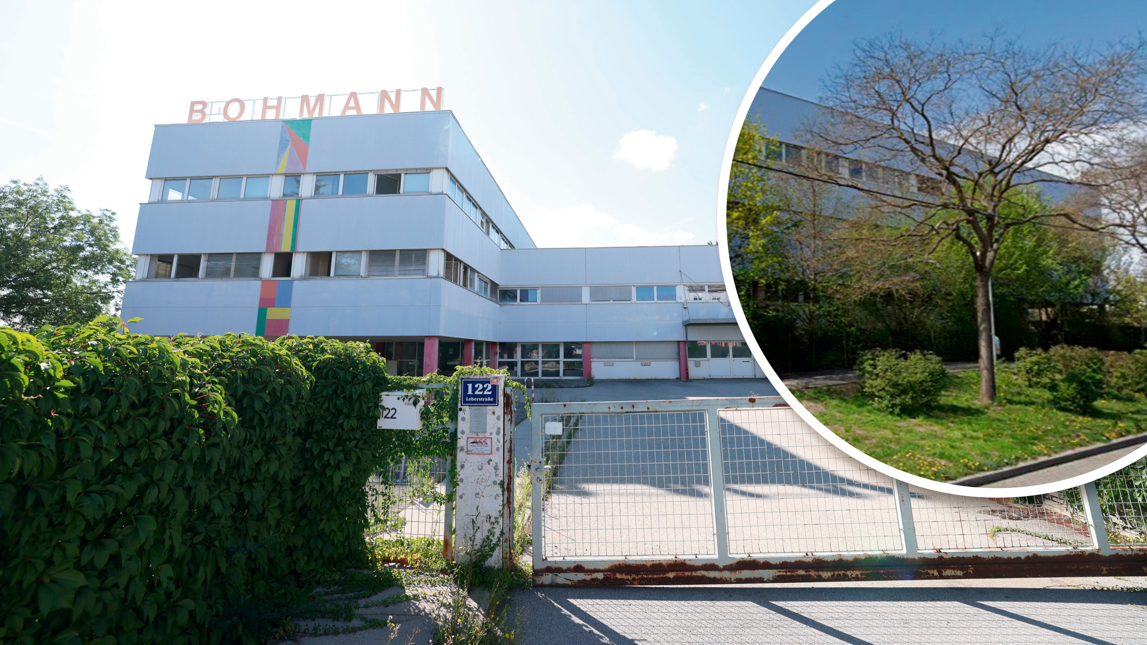 Auf dem Grundstück in der Leberstraße 122 wurden 29 Bäume ohne Genehmigung gefällt.