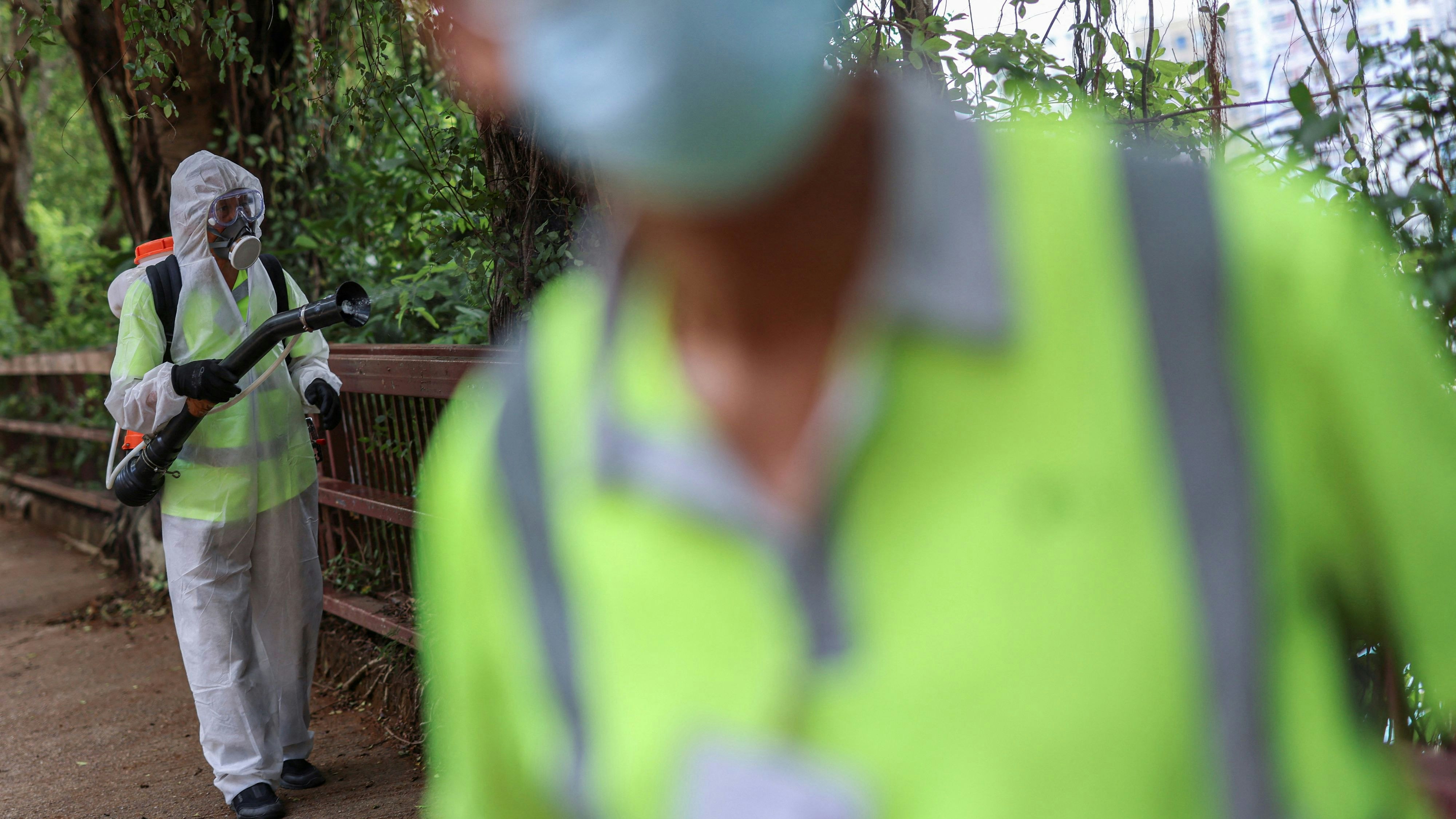 Heute.at - Corona 2.0? Tigermücken-Virus macht China unsicher