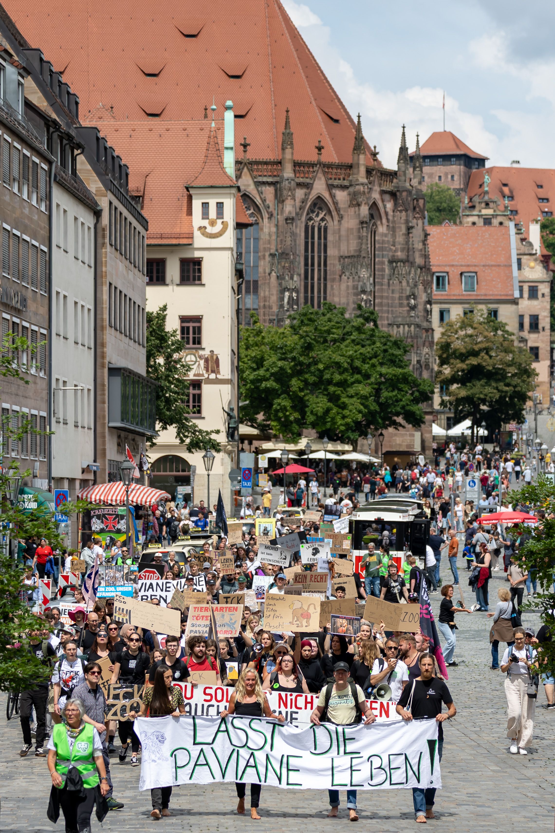 Die Tötung von zwölf Pavianen im Zoo von Nürnberg führte zu massiven Protesten von Tierrechtlern
