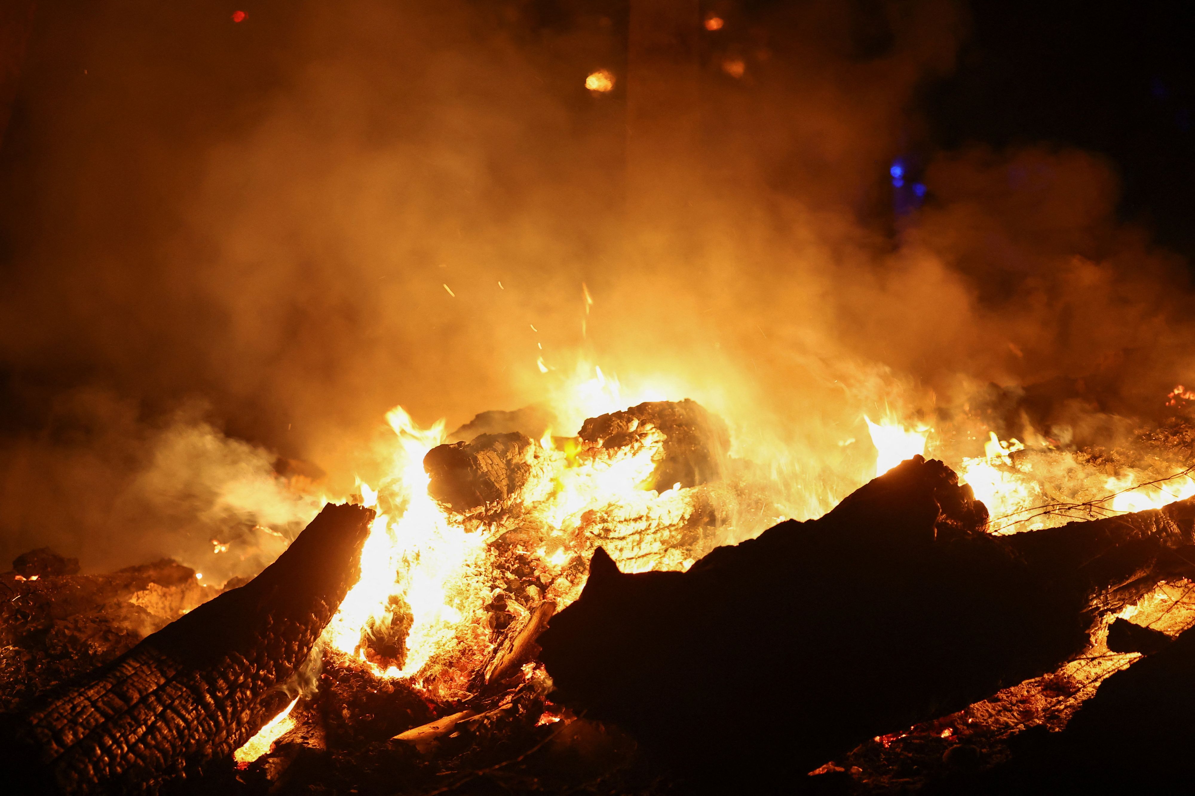 Waldbrände wüten vor allem im Süden Österreichs.