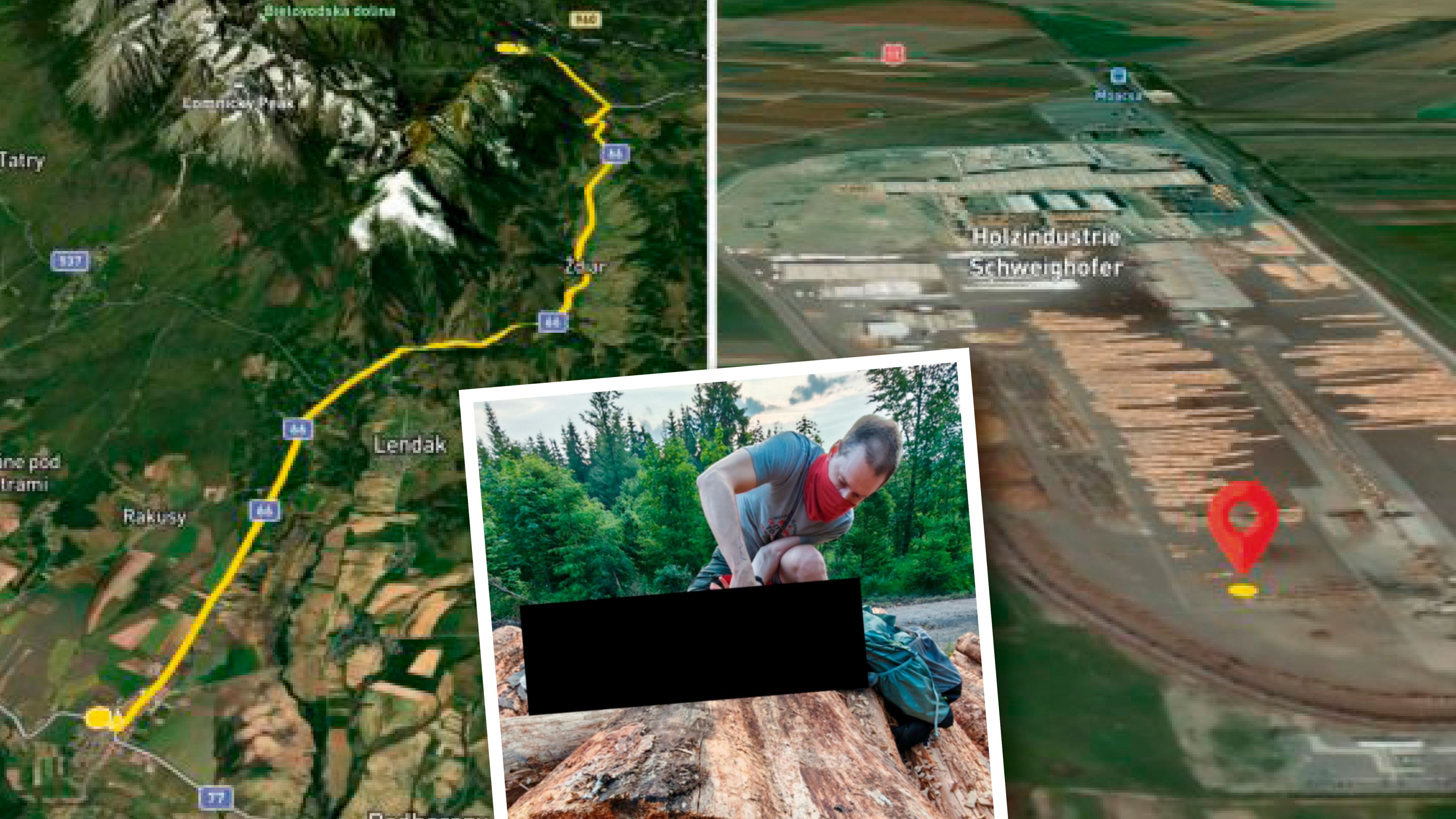 Holz aus Nationalpark Hohe Tatra landete bei HS Timber in Rumänien - GPS-Tracker versteckt.